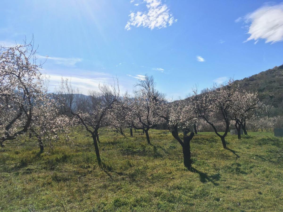 Apartamento El Refugio De Mecina Mecina Fondales Esterno foto