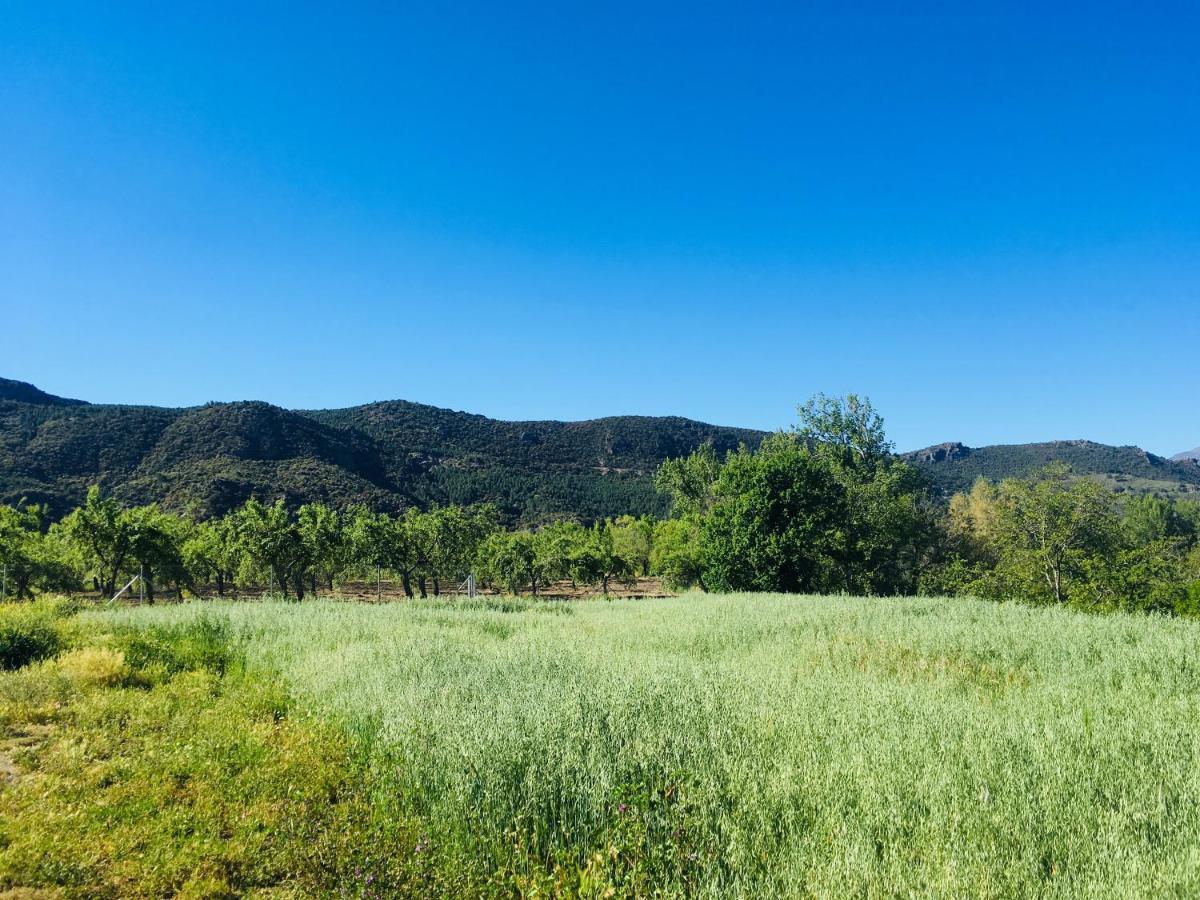 Apartamento El Refugio De Mecina Mecina Fondales Esterno foto